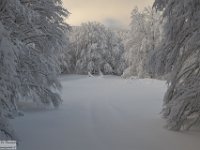 2017-12-29 V. del Morretano 037